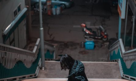 mimmi-밈미,-djawa-‘rudy-the-wolf-of-midnight’-set.03