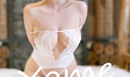 xiuren秀人网-no.8815-杨晨晨yome