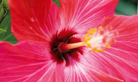 nene-shida-志田音々,-ファースト写真集-『ｎｅｎｅ－まるっとぜんぶ－』-set.03