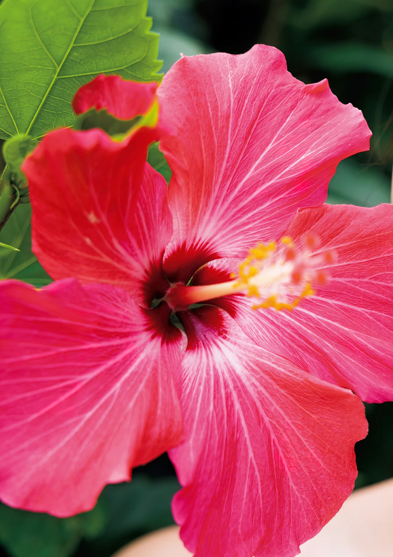 Nene Shida 志田音々, ファースト写真集 『ｎｅｎｅ－まるっとぜんぶ－』 Set.03